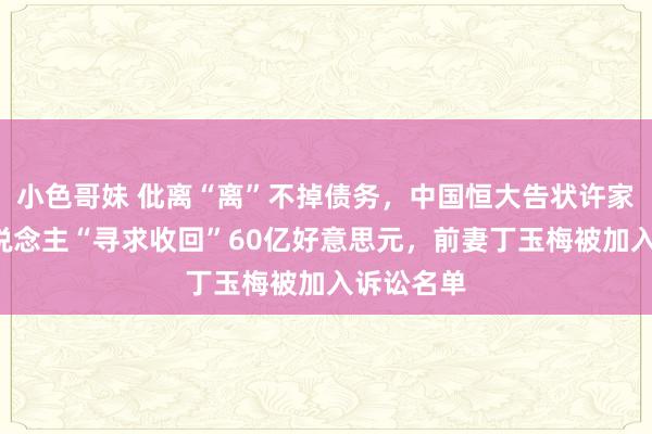 小色哥妹 仳离“离”不掉债务，中国恒大告状许家印等7东说念主“寻求收回”60亿好意思元，前妻丁玉梅被加入诉讼名单