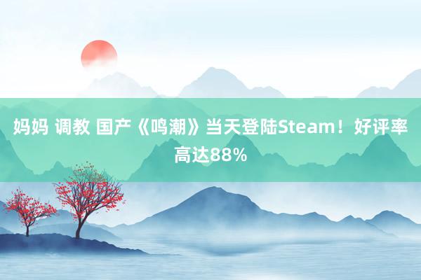 妈妈 调教 国产《鸣潮》当天登陆Steam！好评率高达88%