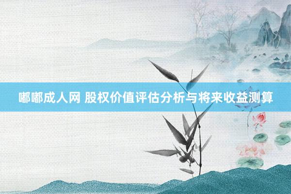 嘟嘟成人网 股权价值评估分析与将来收益测算