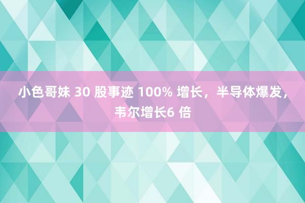 小色哥妹 30 股事迹 100% 增长，半导体爆发，韦尔增长6 倍