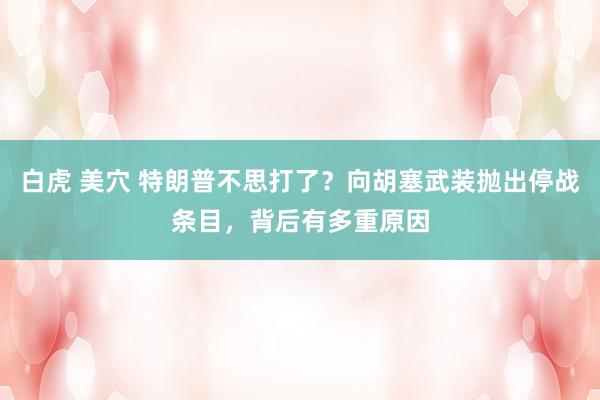 白虎 美穴 特朗普不思打了？向胡塞武装抛出停战条目，背后有多重原因
