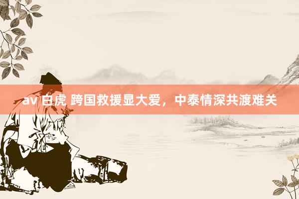 av 白虎 跨国救援显大爱，中泰情深共渡难关