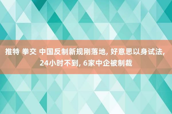 推特 拳交 中国反制新规刚落地， 好意思以身试法， 24小时不到， 6家中企被制裁