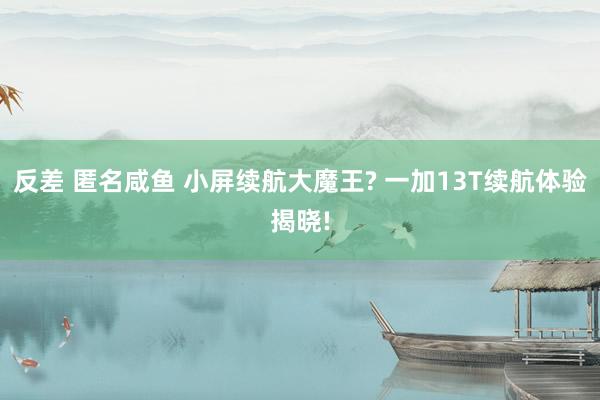 反差 匿名咸鱼 小屏续航大魔王? 一加13T续航体验揭晓!