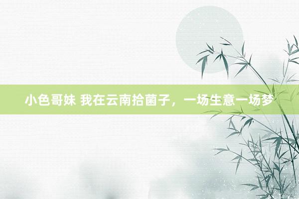 小色哥妹 我在云南拾菌子，一场生意一场梦
