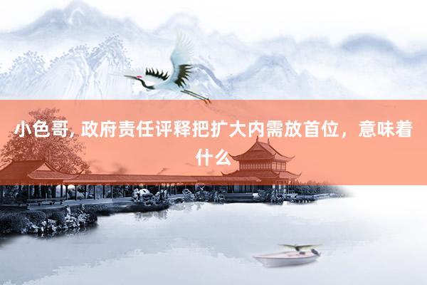 小色哥， 政府责任评释把扩大内需放首位，意味着什么