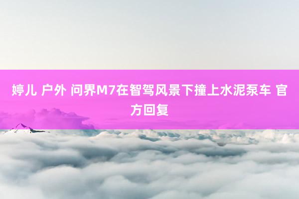 婷儿 户外 问界M7在智驾风景下撞上水泥泵车 官方回复